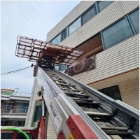 대전용달이사 PC 갤러리 11