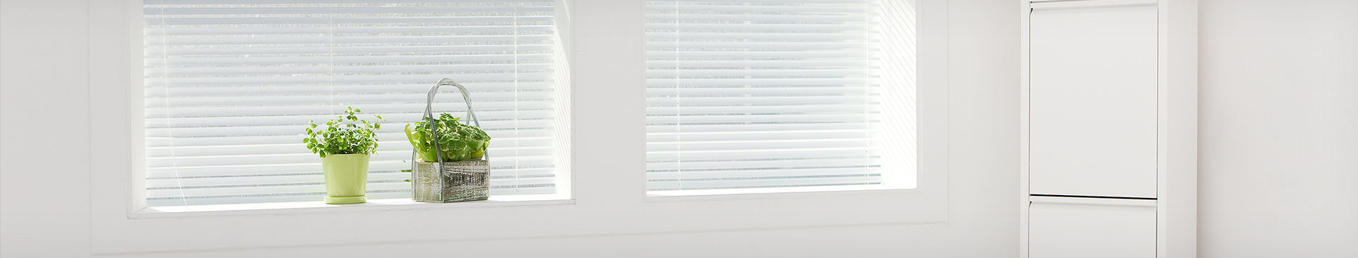 대전용달이사 PC 비주얼 0